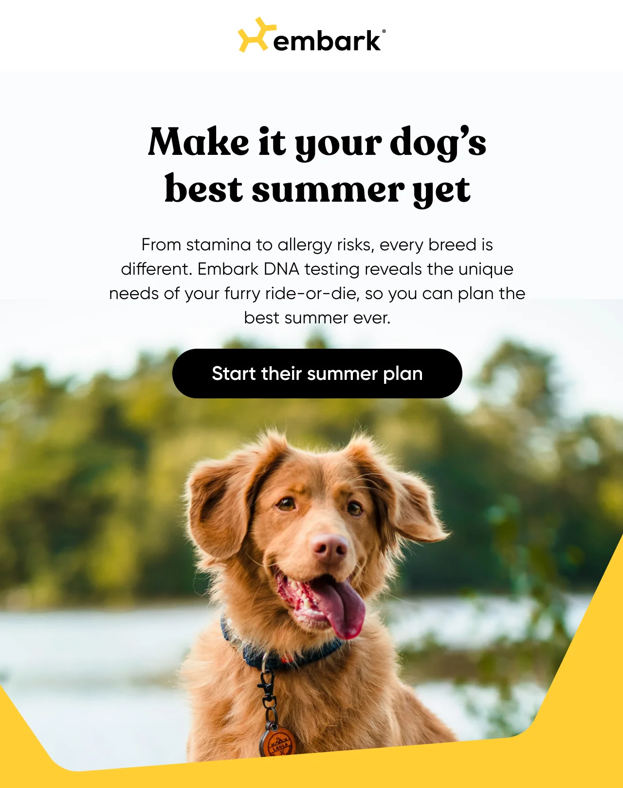 Make it your dog's best summer yet. From stamina to allergy risks, every breed is different. Embark's DNA testing reveals the unique needs of your furry ride-or-die, so you can plan the best summer ever. Start their summer plan.