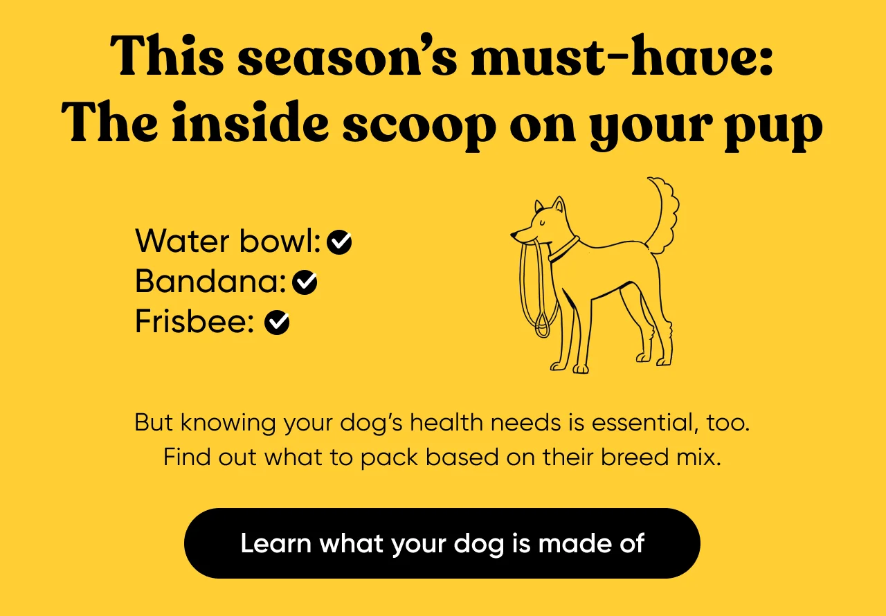 Learn what your dog is made of