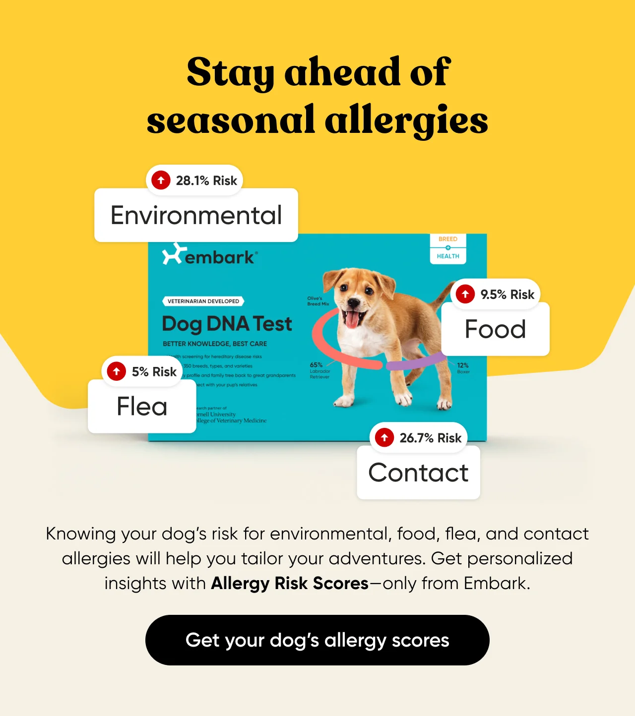 Get your dog's allergy scores