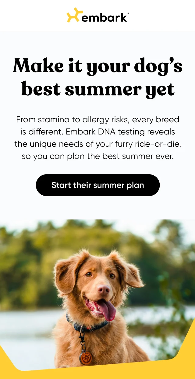 Make it your dog's best summer yet. From stamina to allergy risks, every breed is different. Embark's DNA testing reveals the unique needs of your furry ride-or-die, so you can plan the best summer ever. Start their summer plan.