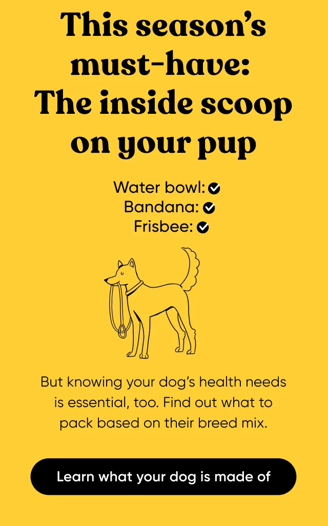 Learn what your dog is made of