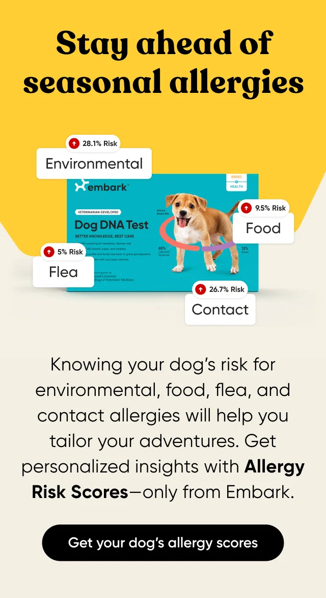 Get your dog's allergy scores
