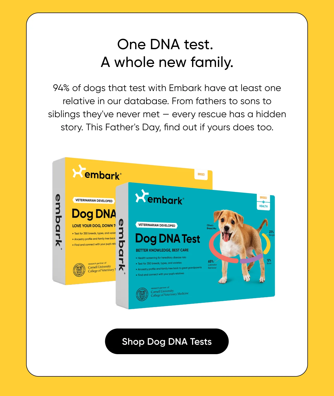 One DNA test. A whole new family. 94% of dogs that test with Embark have at least one relative in our database. From fathers to sons to siblings they've never met — every rescue has a hidden story. This Father's Day, find out if yours does too. Uncover their family.