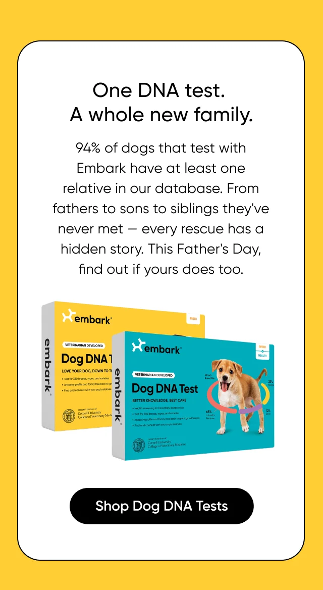 One DNA test. A whole new family. 94% of dogs that test with Embark have at least one relative in our database. From fathers to sons to siblings they've never met — every rescue has a hidden story. This Father's Day, find out if yours does too. Uncover their family.