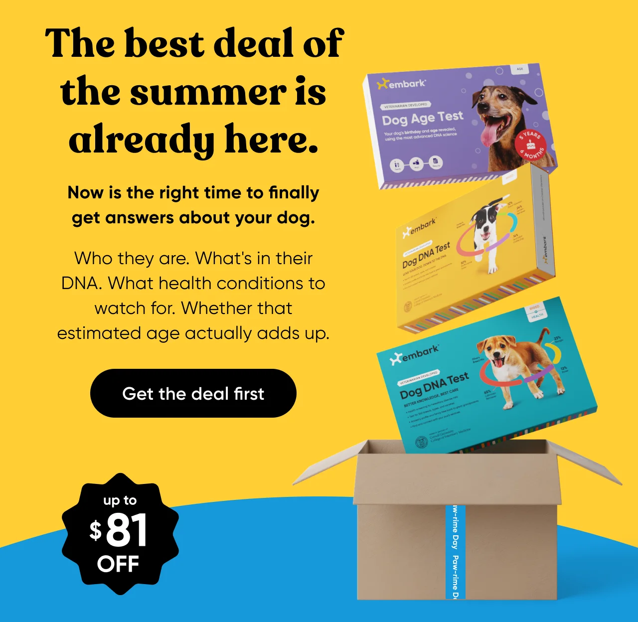 The best deal of the summer is already here. Now is the right time to finally get answers about your dog. Who they are. What's in their DNA. What health conditions to watch for. Whether that estimated age actually adds up.