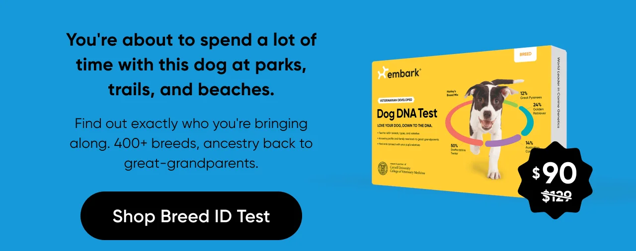 You're about to spend a lot of time with this dog at parks, trails and beaches. Find out exactly who you're bring along. 400+ breeds, ancestry back to great grandparents. Shop Breed ID Test.