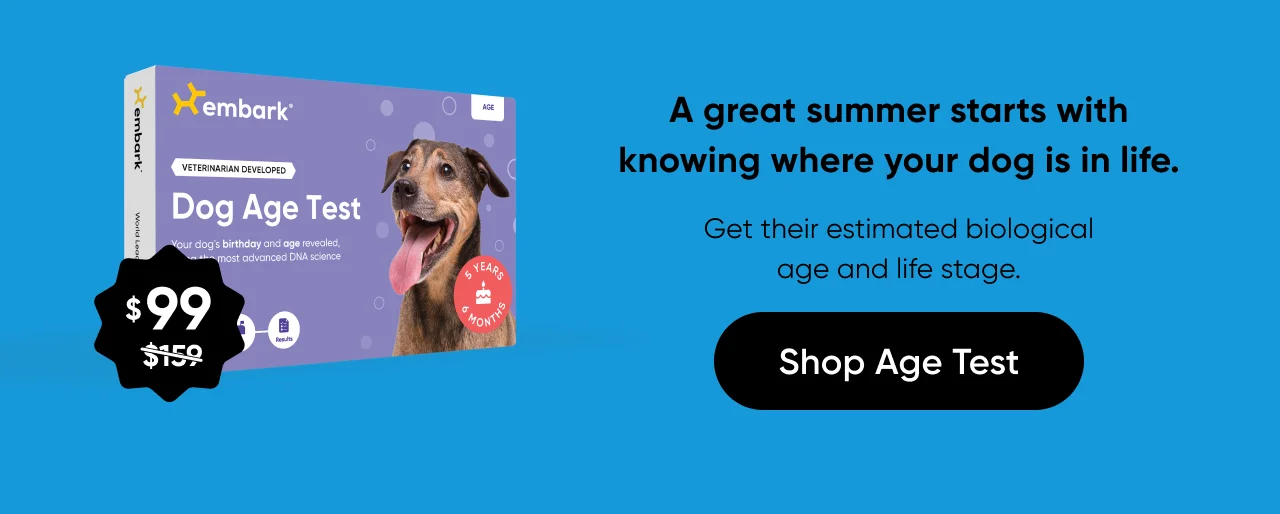 A great summer starts with knowing where you dog is in life. Get their estimated biological age and life stage. Shop Age Test.