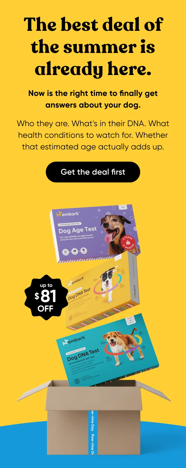 The best deal of the summer is already here. Now is the right time to finally get answers about your dog. Who they are. What's in their DNA. What health conditions to watch for. Whether that estimated age actually adds up.