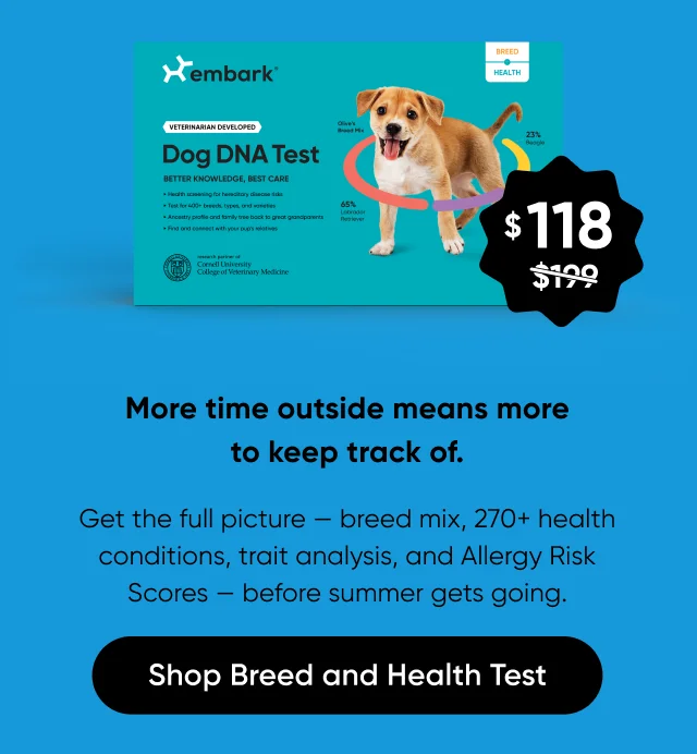 More time outside means more to keep track of. Get the full picture: breed mix, 270+ health conditions, traits analysis, and Allergy Risk Scores, before summer gets going. Shop Breed + Health Test.