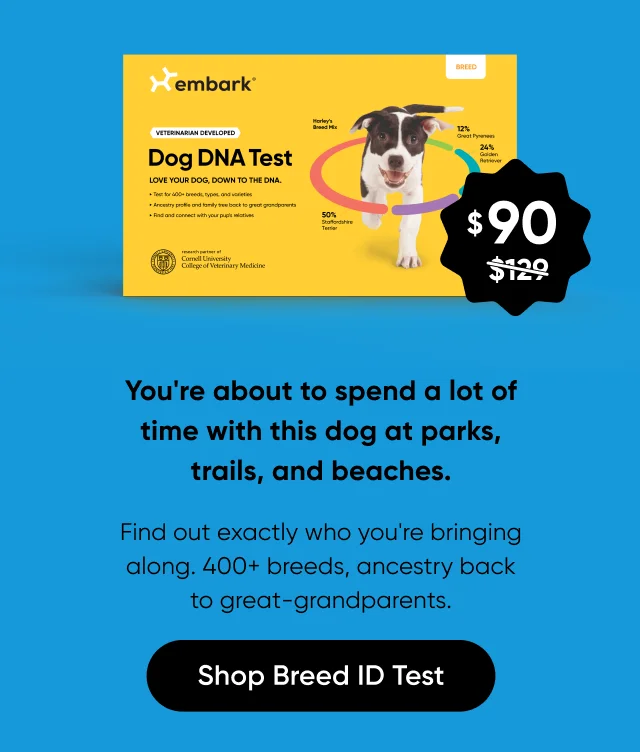 You're about to spend a lot of time with this dog at parks, trails and beaches. Find out exactly who you're bring along. 400+ breeds, ancestry back to great grandparents. Shop Breed ID Test.