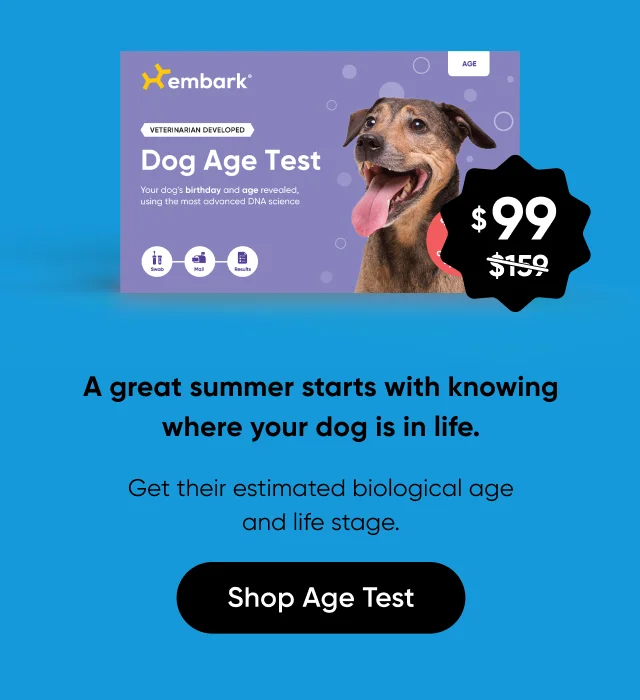 A great summer starts with knowing where you dog is in life. Get their estimated biological age and life stage. Shop Age Test.