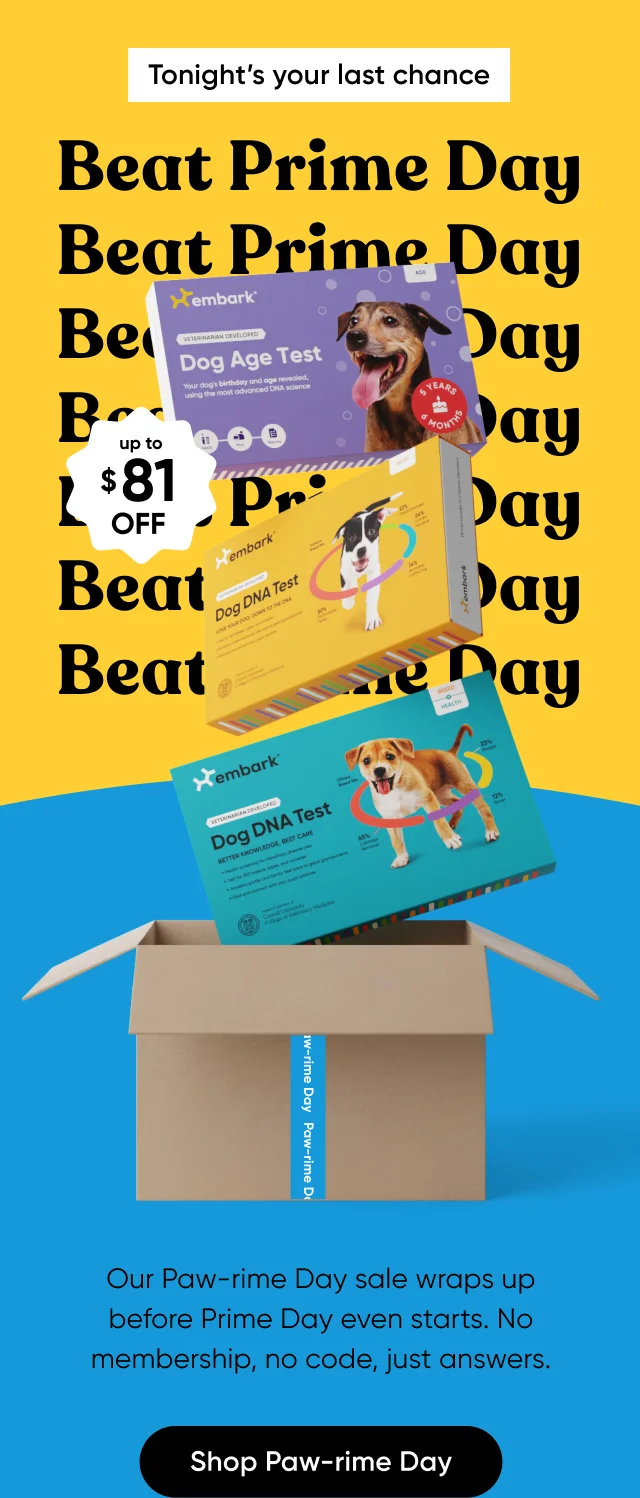 Tonight's your last chance. Our Paw-rime Day sale wraps up before Prime Day even starts. No membership, no code, just answers. up to $81 off. Shop Paw-rime Day.