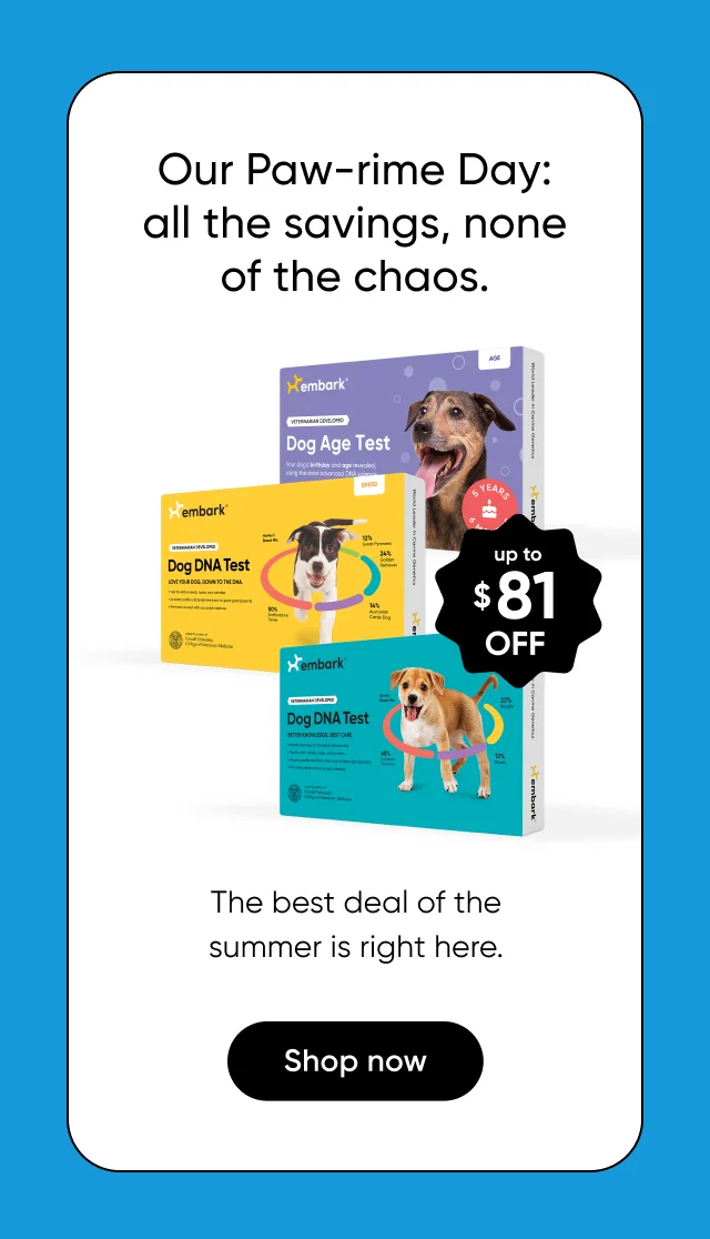 Our Paw-rime Day: all the savings, none of the chaos. The best deal of the summer is right here. up to $81 off. Shop now.