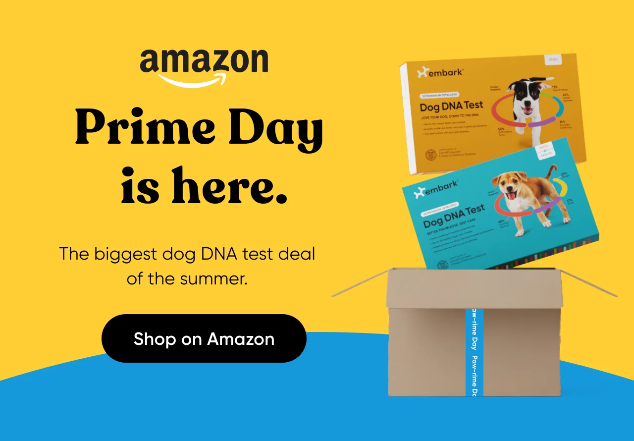 Prime Day is here. The biggest dog DNA test deal of the summer — only here. up to $81 off. Shop on Amazon.