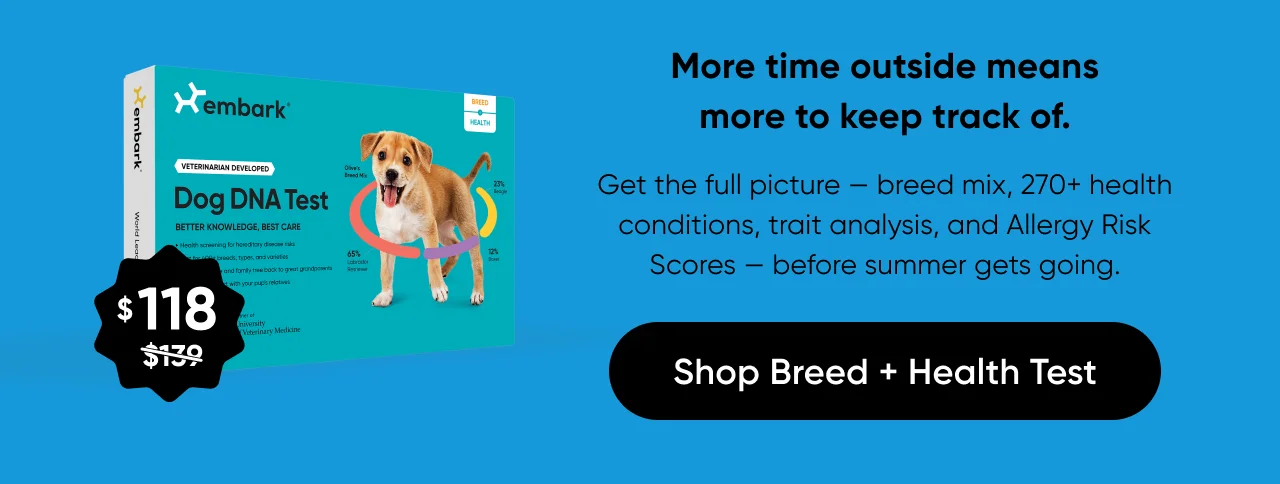More time outside means more to keep track of. Get the full picture — breed mix, 270+ health conditions, trait analysis, and Allergy Risk Scores — before summer gets going.