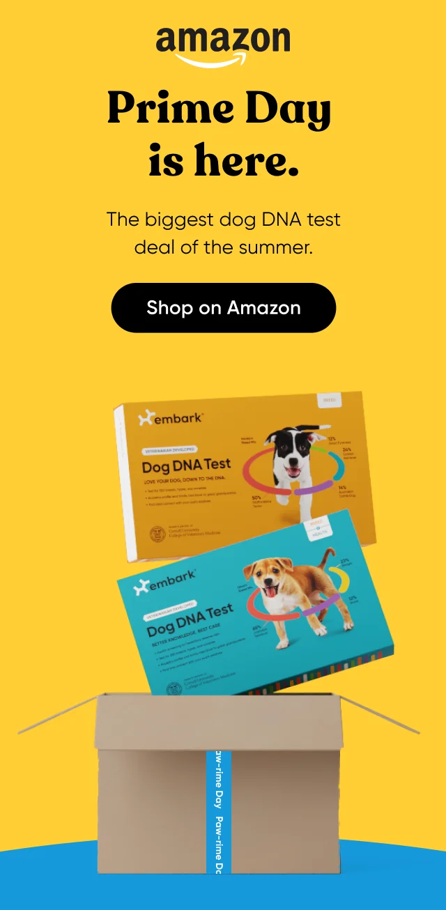 Prime Day is here. The biggest dog DNA test deal of the summer — only here. up to $81 off. Shop on Amazon.