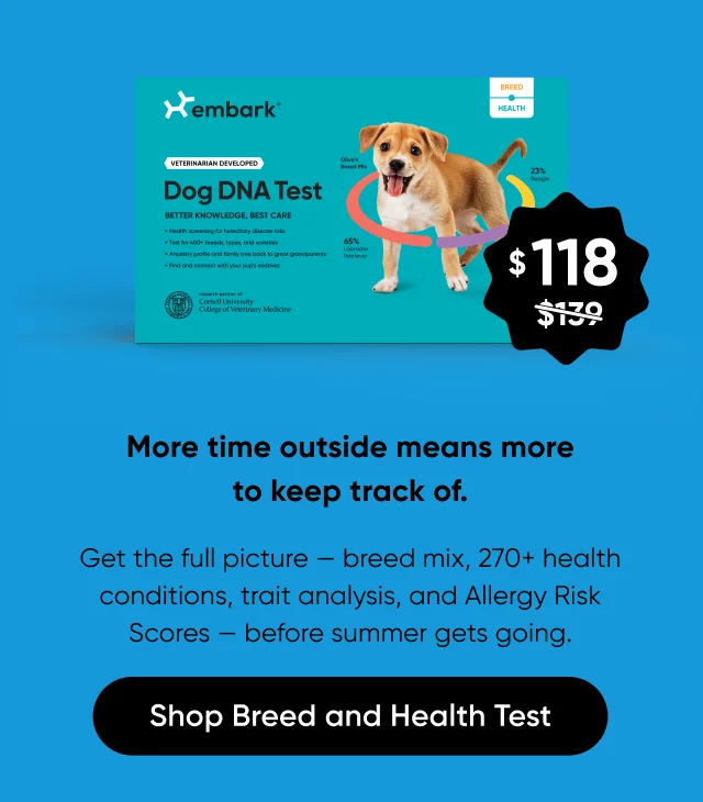 More time outside means more to keep track of. Get the full picture — breed mix, 270+ health conditions, trait analysis, and Allergy Risk Scores — before summer gets going.