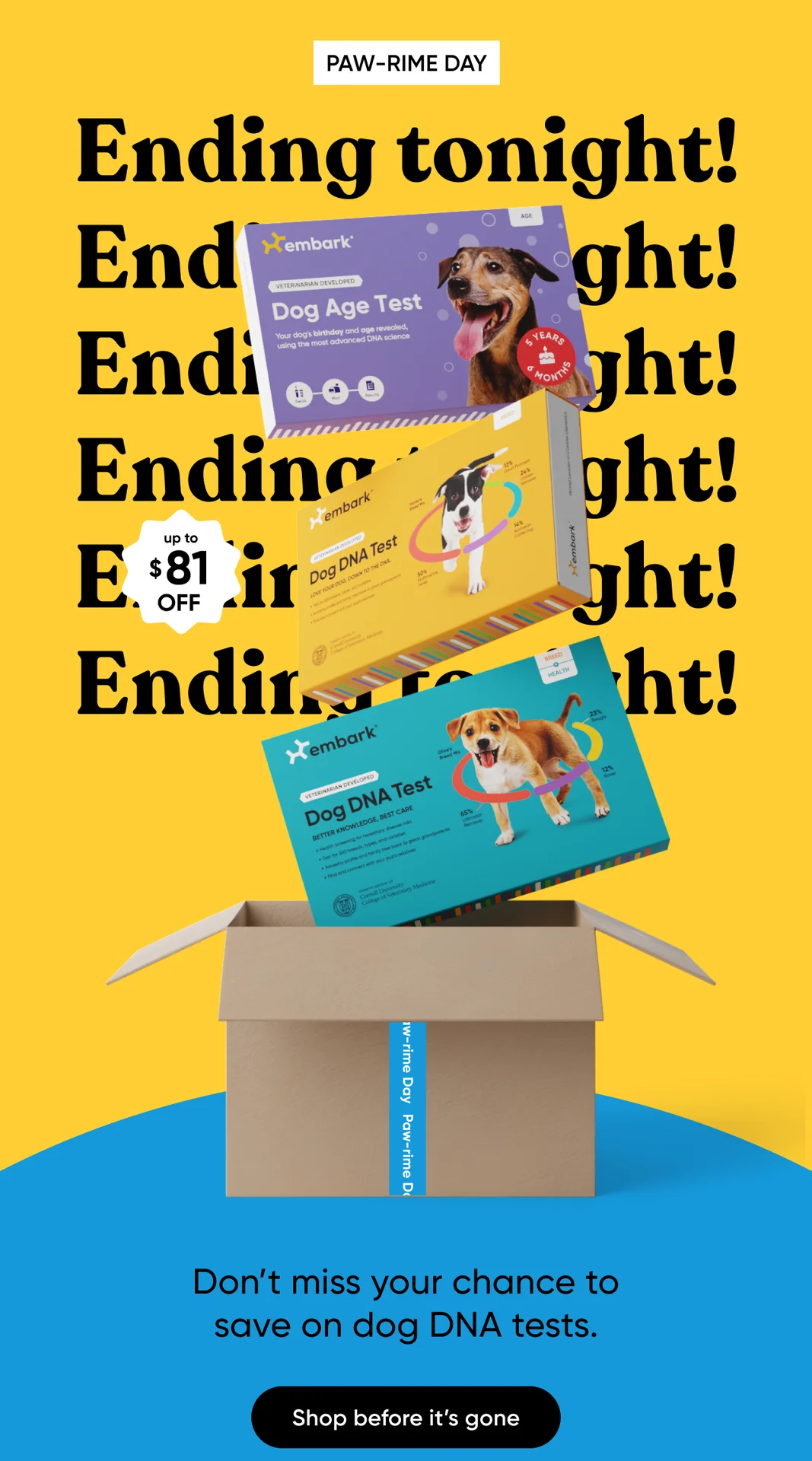 Paw-rime Day ending tonight. on’t miss your chance to save on dog DNA tests. Shop before it's gone.