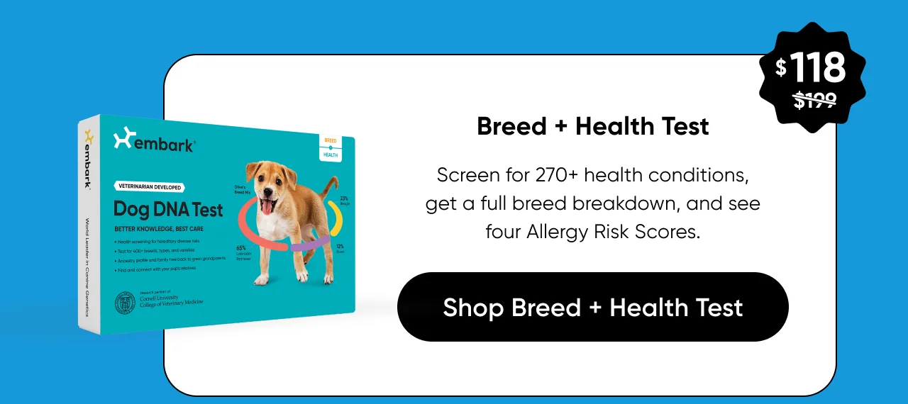 Screen for 270+ health conditions, get a full breed breakdown, and see four Allergy Risk Scores.