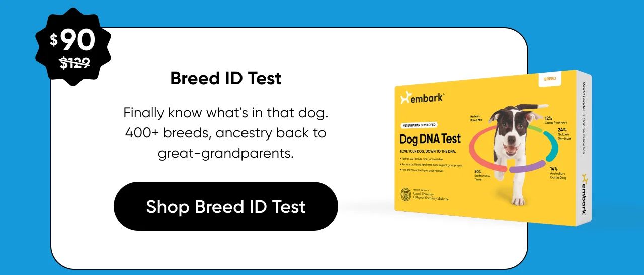 Finally know what's in that dog. 400+ breeds, ancestry back to great-grandparents.