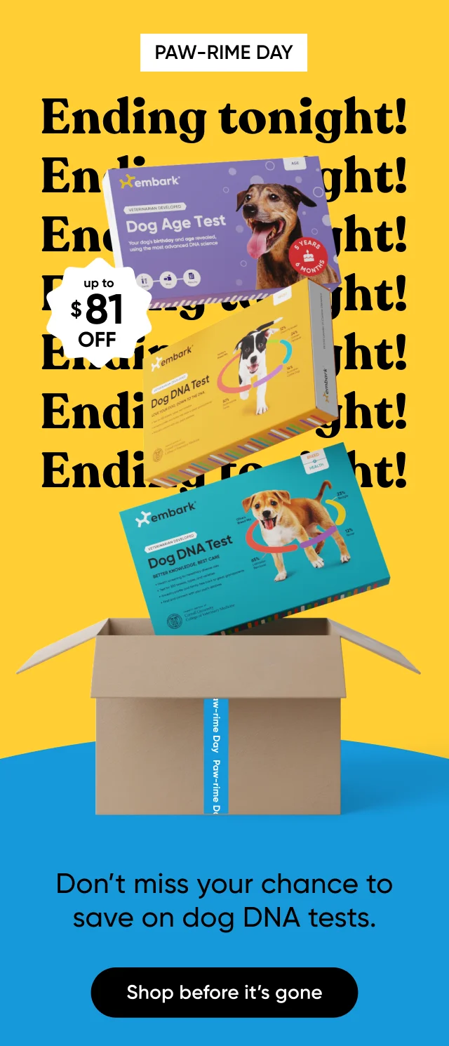Paw-rime Day ending tonight. on’t miss your chance to save on dog DNA tests. Shop before it's gone.