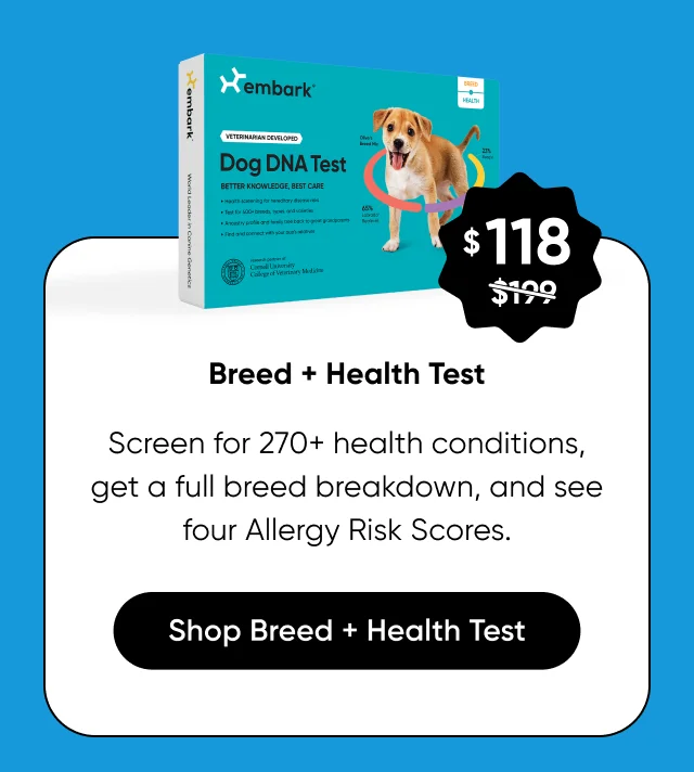 More time outside means more to keep track of. Get the full picture — breed mix, 270+ health conditions, trait analysis, and Allergy Risk Scores — before summer gets going.