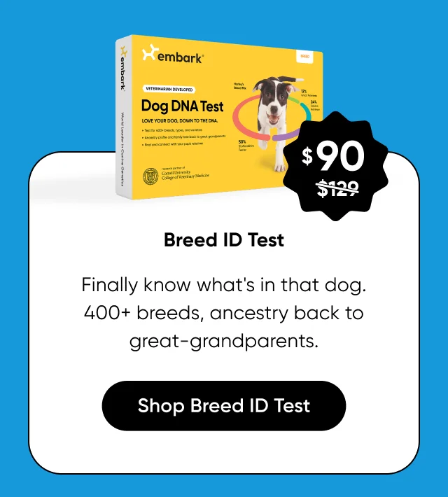 Finally know what's in that dog. 400+ breeds, ancestry back to great-grandparents.