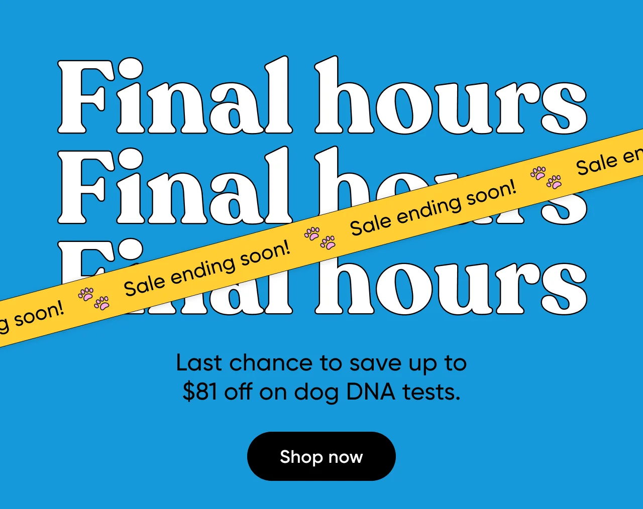 Final hours. Last chance to save up to $81 off on dog DNA tests. 