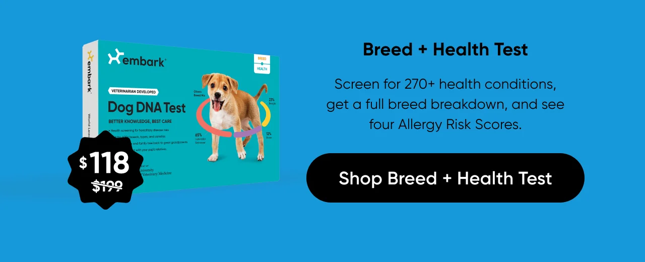 Screen for 270+ health conditions, get a full breed breakdown, and see four Allergy Risk Scores.