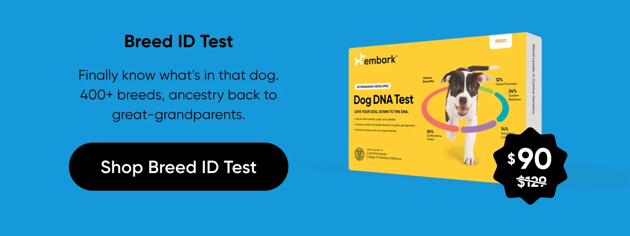 Finally know what's in that dog. 400+ breeds, ancestry back to great-grandparents.