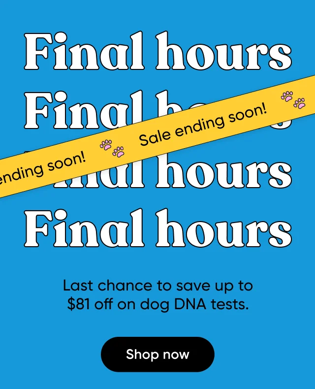 Final hours. Last chance to save up to $81 off on dog DNA tests. 