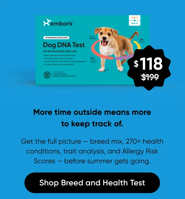 More time outside means more to keep track of. Get the full picture — breed mix, 270+ health conditions, trait analysis, and Allergy Risk Scores — before summer gets going.