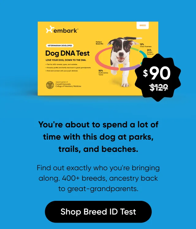 Finally know what's in that dog. 400+ breeds, ancestry back to great-grandparents.