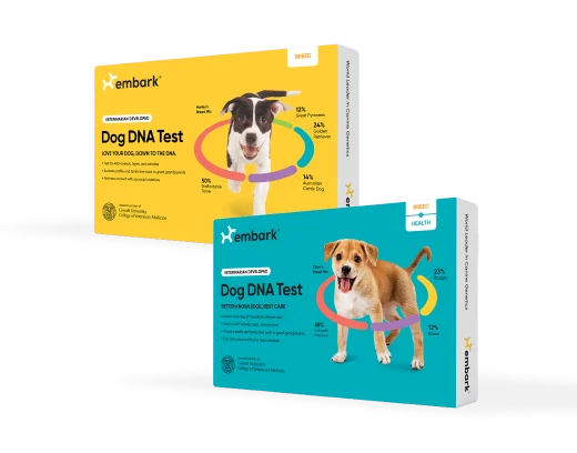 Breed ID Test and Breed and Health Test