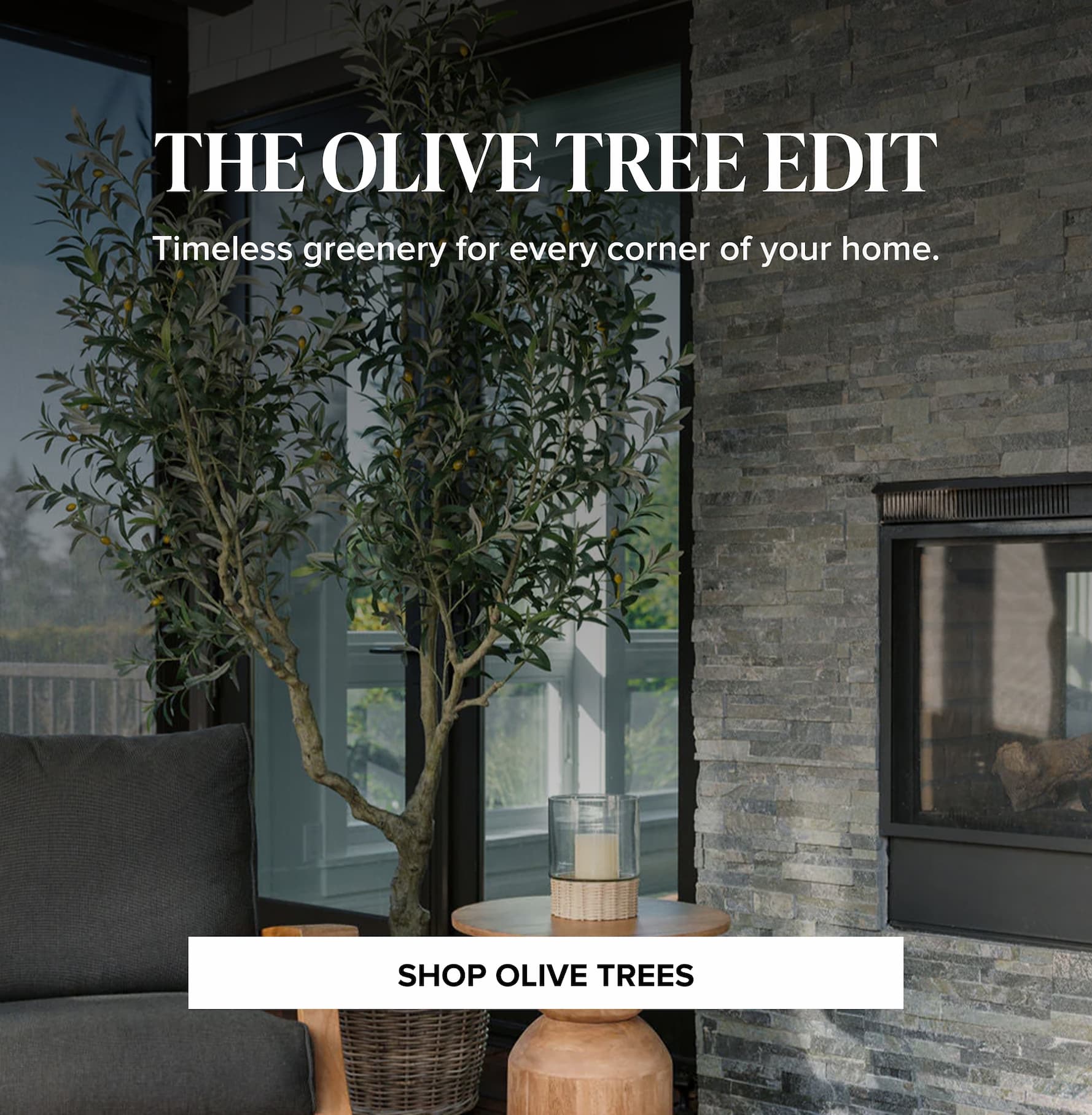 SHOP THE  OLIVE
