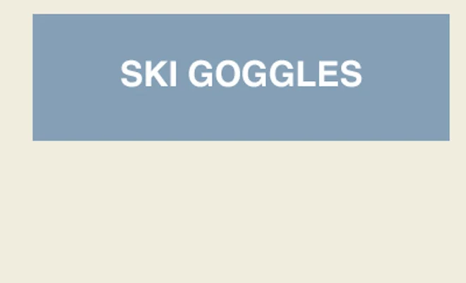 Ski Goggles