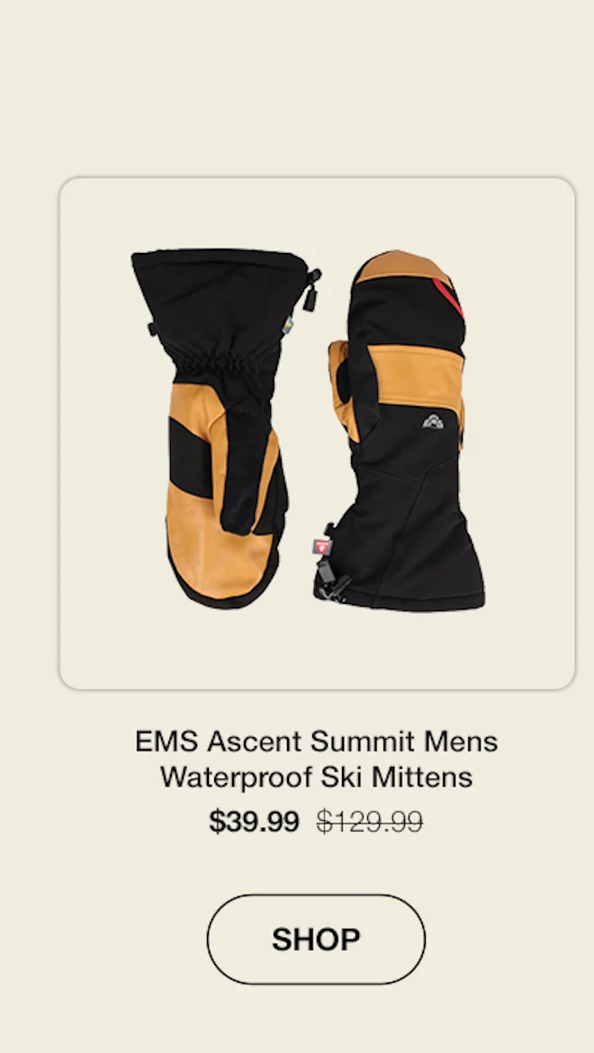 EMS Ascent summit mens waterproof ski mittens