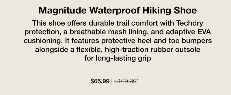 Hiking Shoe