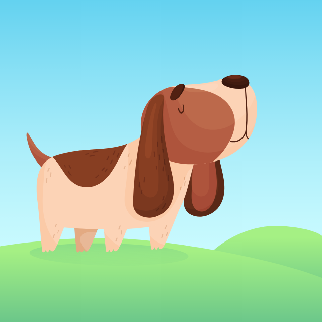 Dog standing outside.