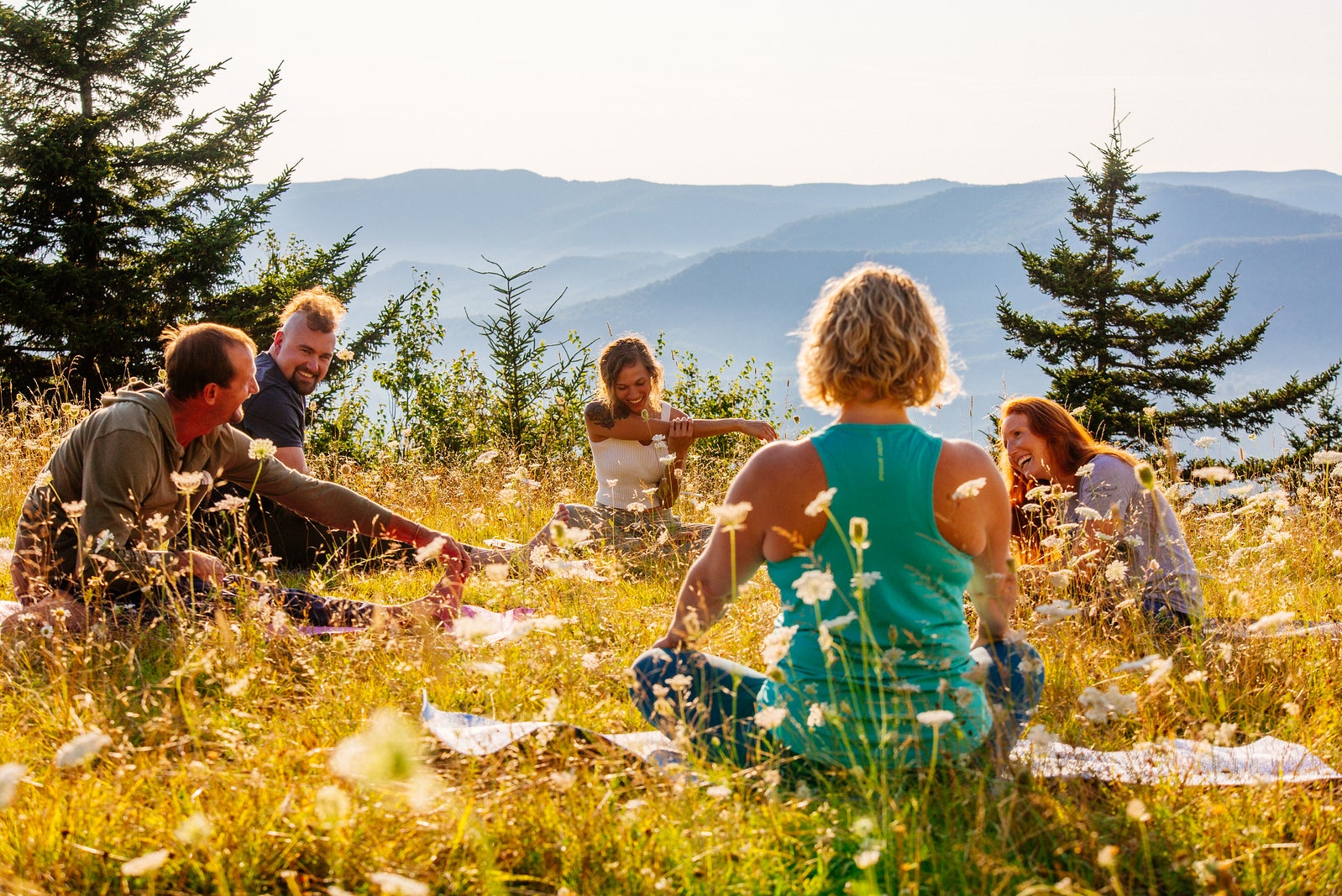 Image 13801313