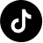 TikTok icon