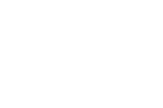 Toyota white-1
