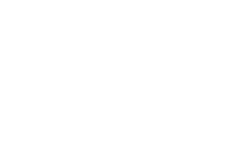Bota white