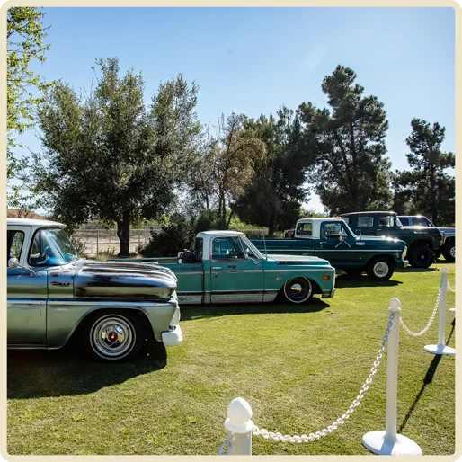 Cream Framecars