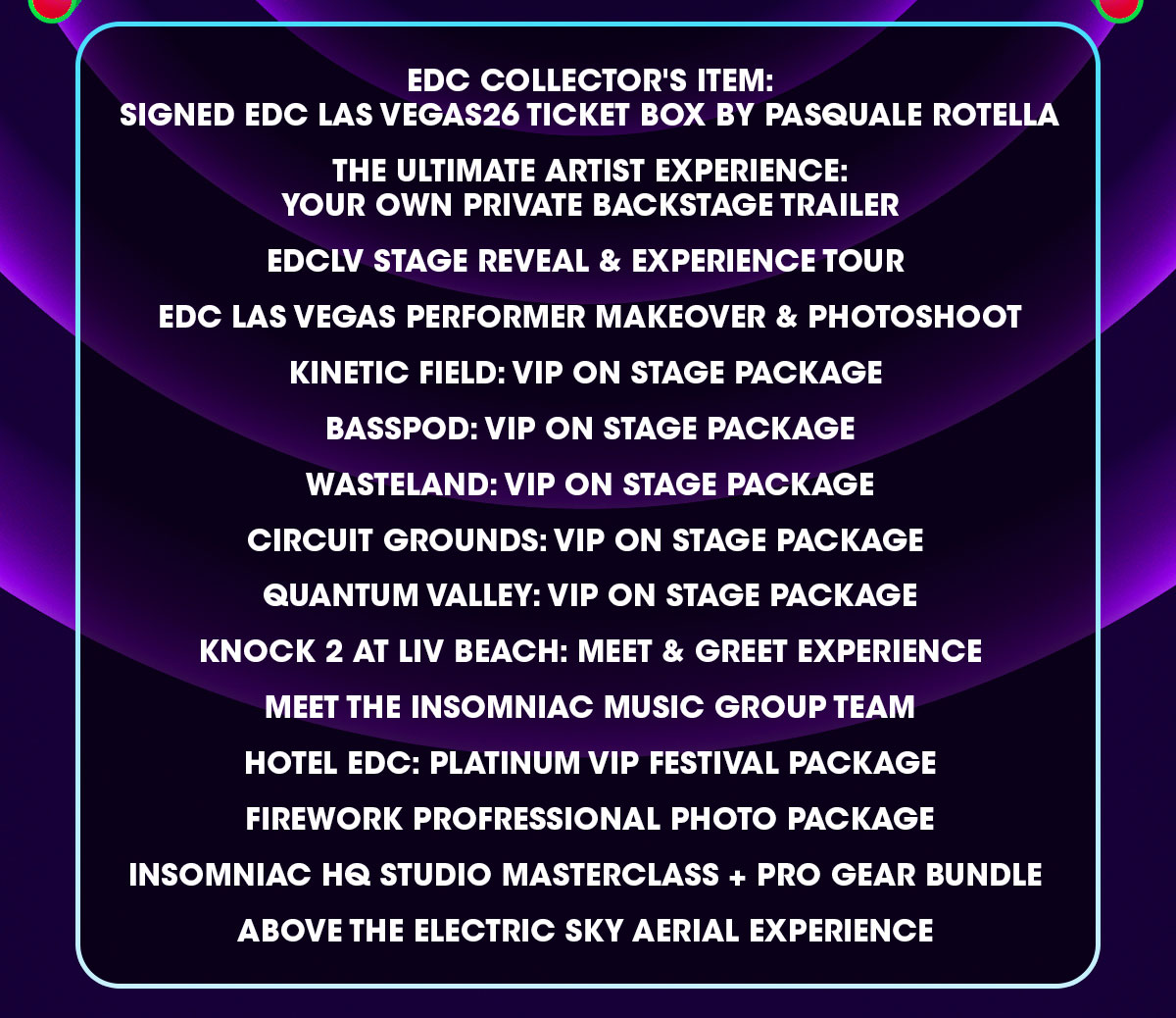 EDC Las Vegas Charity Auction