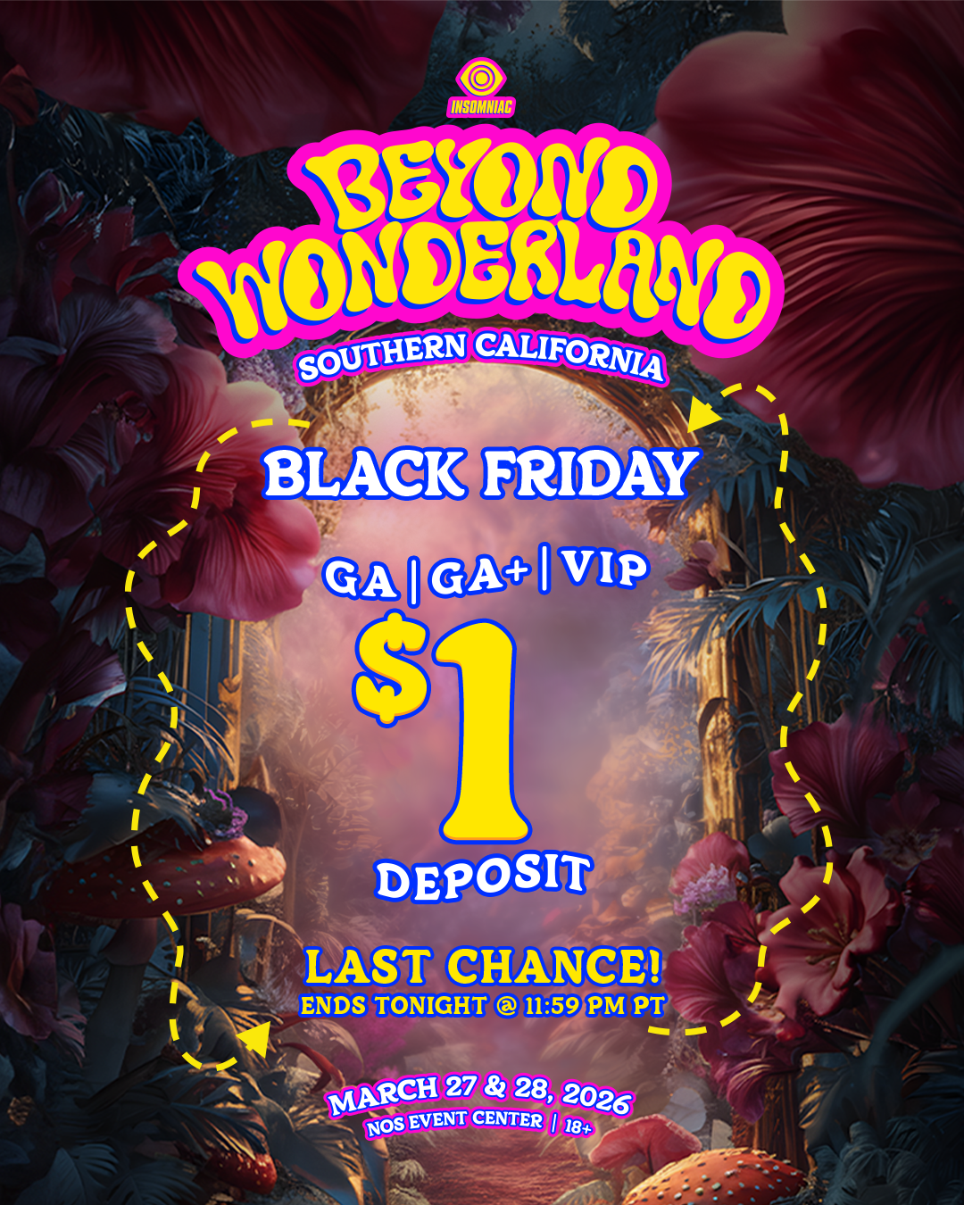 Beyond Wonderland