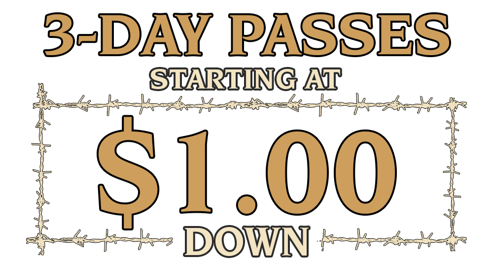 $1 Down Passes