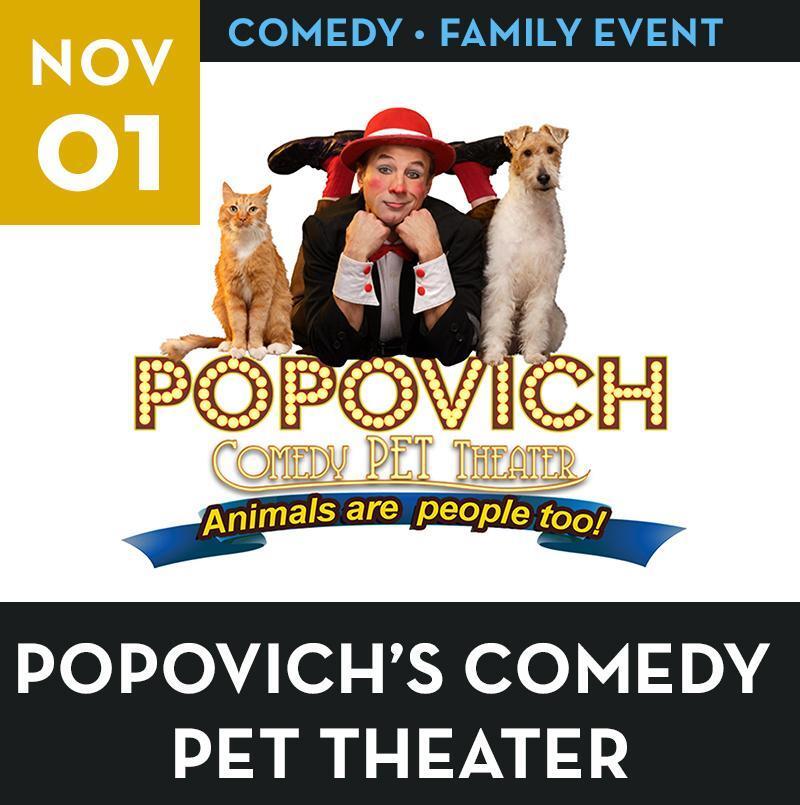 Pet Comedy