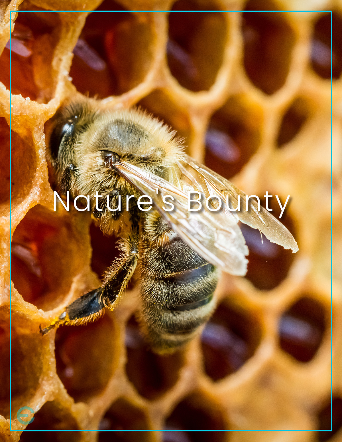 PROPOLIS DUO