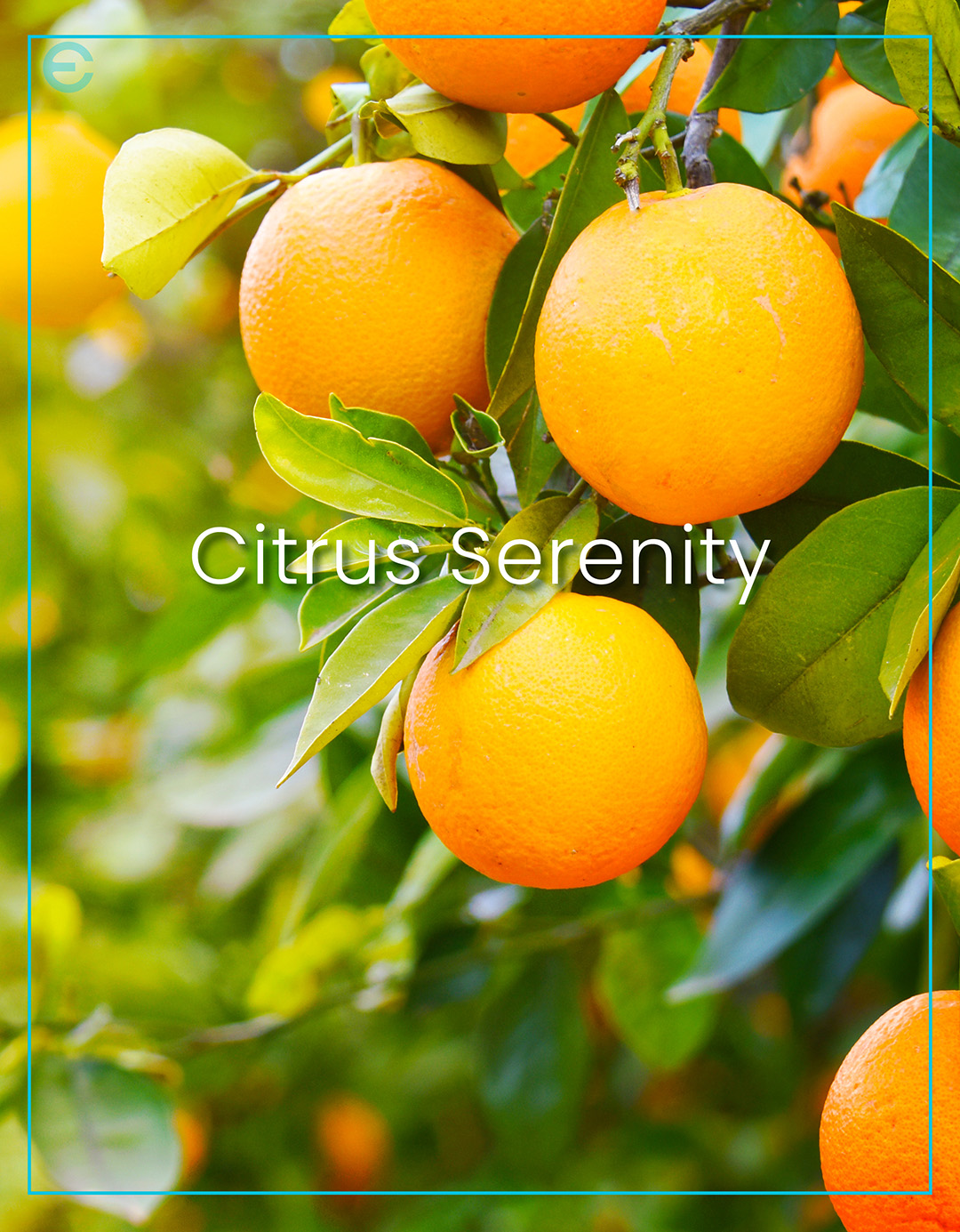 ORANGE BLOSSOM AFTER BATH